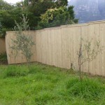 pinecore_capped_fencing_large